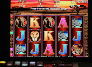 6686下载电脑免费版